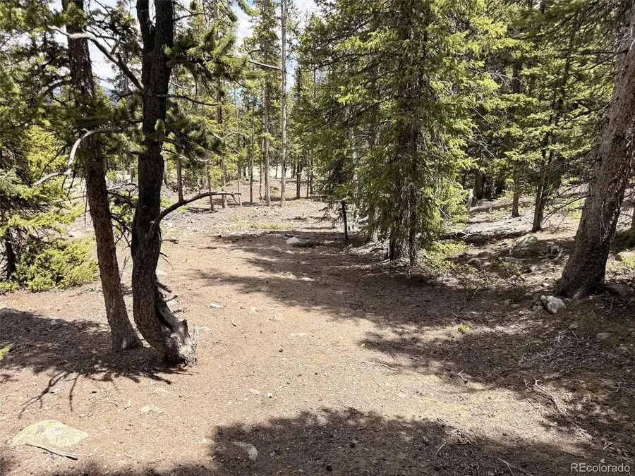 117 Miners Way, Fairplay, CO 80440 - #3