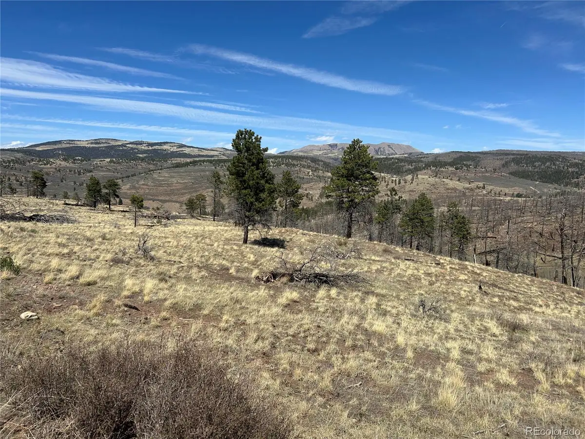 Lot 184 Forbes Park, Fort Garland, CO 81133 - #1
