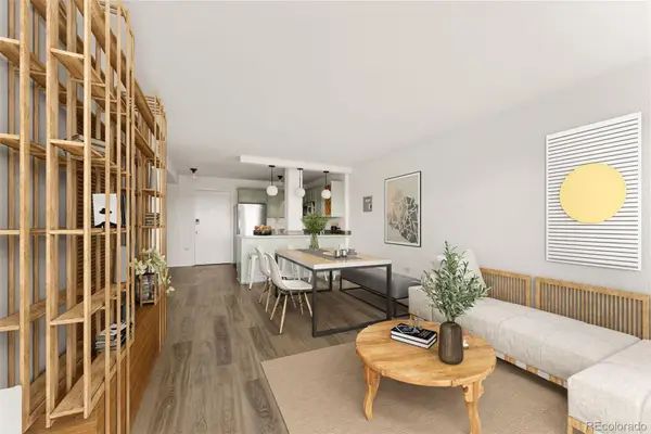 909 N Logan Street #11I, Denver, CO 80203