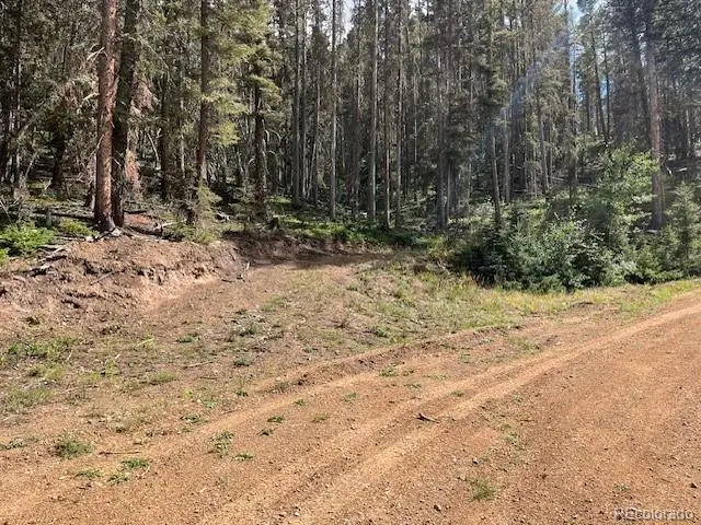 Lot 5586 Kawasaki Road, San Luis, CO 81152 - #3