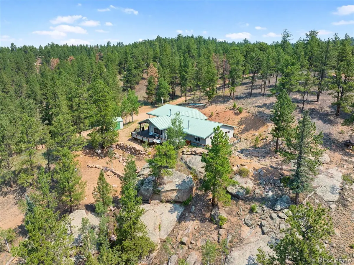 1205 Arapahoe Creek Trail, Florissant, CO 80816 - #1