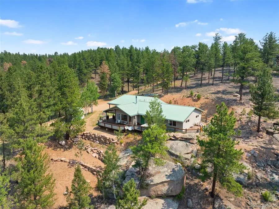 1205 Arapahoe Creek Trail, Florissant, CO 80816 - #3