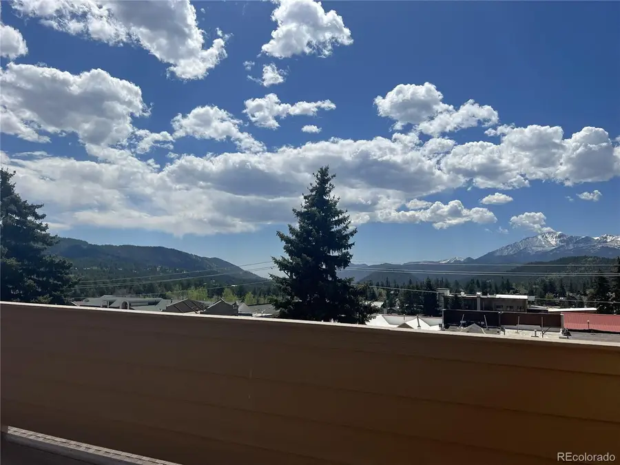 201 W Henrietta Avenue, Woodland Park, CO 80863 - #3