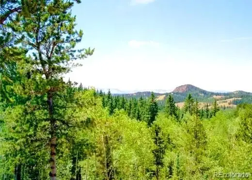 111 Co 67, Cripple Creek, CO 80813 - #1