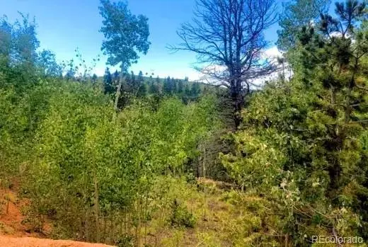 111 Co 67, Cripple Creek, CO 80813 - #2