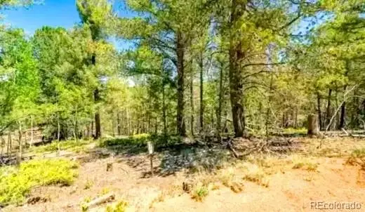 111 Co 67, Cripple Creek, CO 80813 - #3