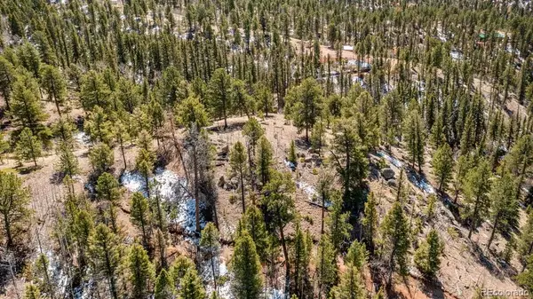 196 Beaver Creek Circle, Florissant, CO 80816