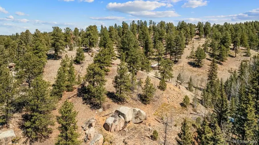 196 Beaver Creek Circle, Florissant, CO 80816 - #2