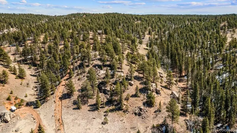 196 Beaver Creek Circle, Florissant, CO 80816 - #3