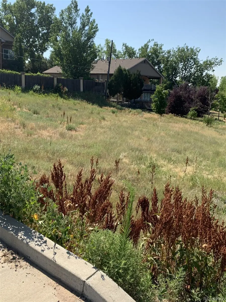 8328 S Carr Way, Littleton, CO 80128 - Image #3