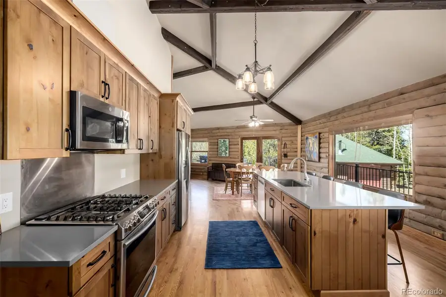 260 Pine Drive, Idaho Springs, CO 80452 - #3