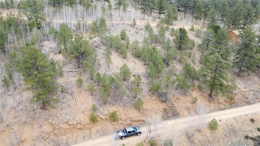 367 Neish Street, Bailey, CO 80421 - #2