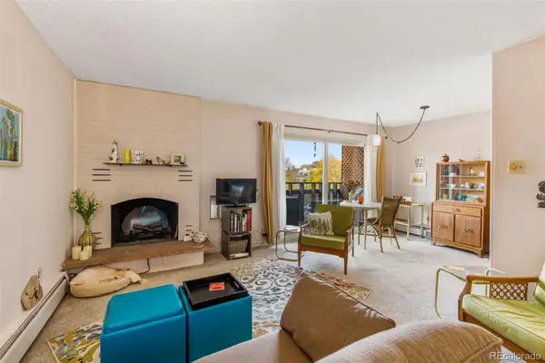 1233 N Ogden Street #302, Denver, CO 80218