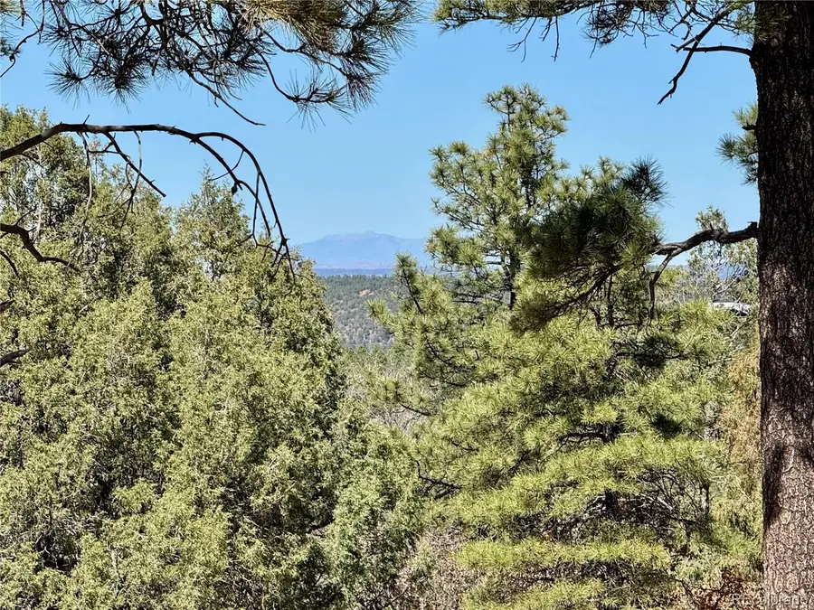 34999 Timber Park Drive, Trinidad, CO 81082 - #3