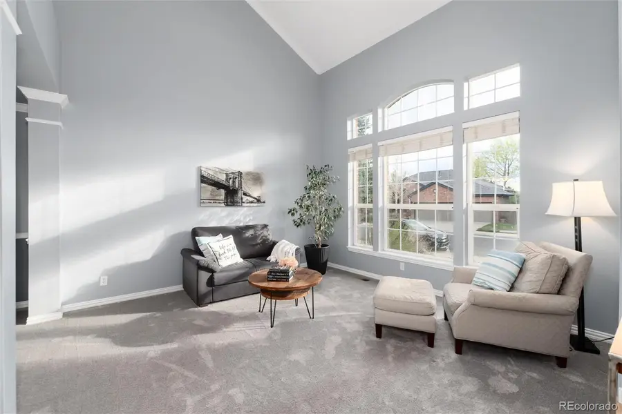 9798 Sylvestor Road, Highlands Ranch, CO 80129 - #3