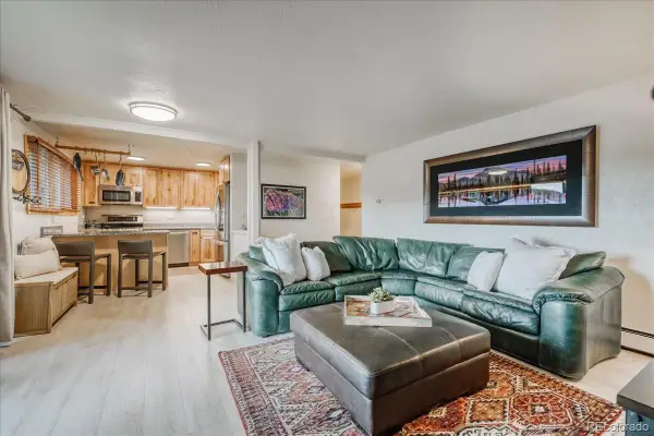 365 Salt Lick Circle, Silverthorne, CO 80498