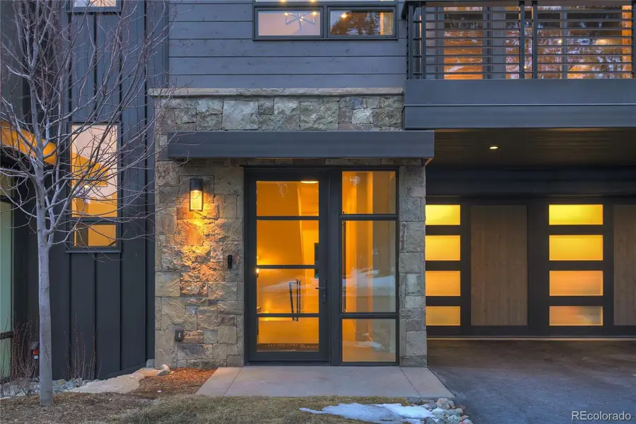 318 S 2nd Avenue, Frisco, CO 80443 - #3