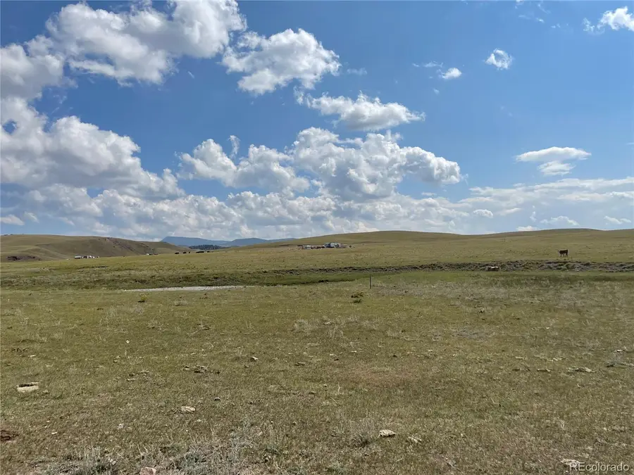 770 Pawnee Trail, Hartsel, CO 80449 - #2