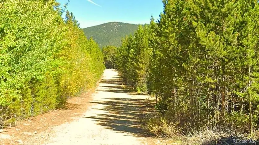 U3 Lot 339 Eva Road, Idaho Springs, CO 80452 - #2