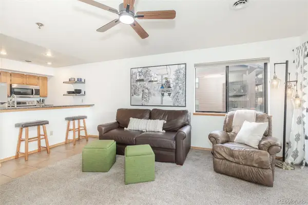 715 S 5th Avenue #J170, Frisco, CO 80443