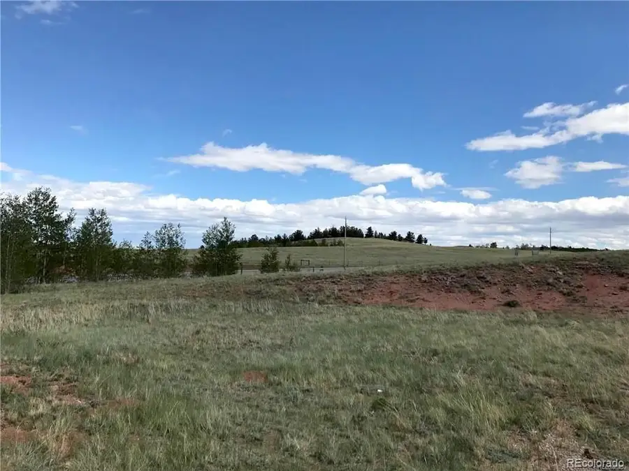 392 Cr-18, Fairplay, CO 80440 - Image #3