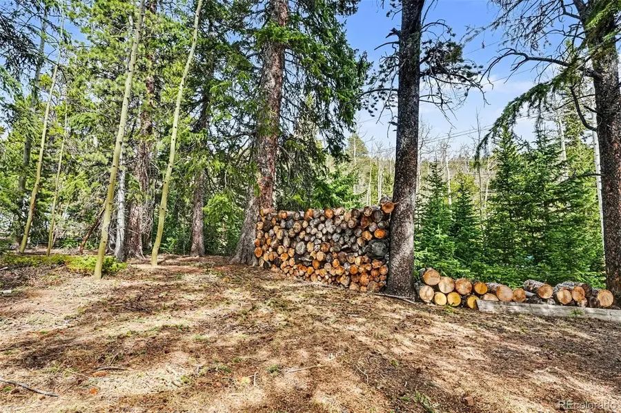 100 Aspen Lane, Evergreen, CO 80439 - #3
