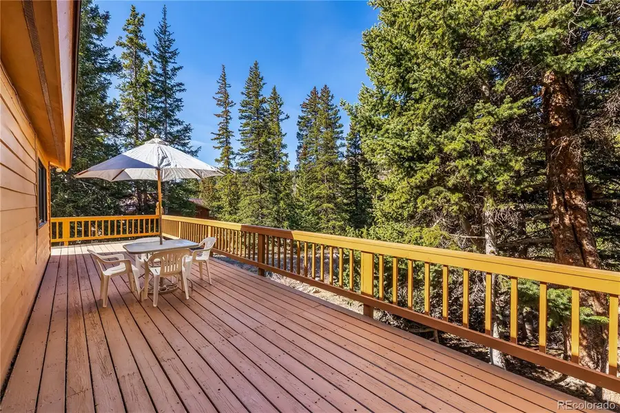 235 Nuthatch Drive, Alma, CO 80420 - #2