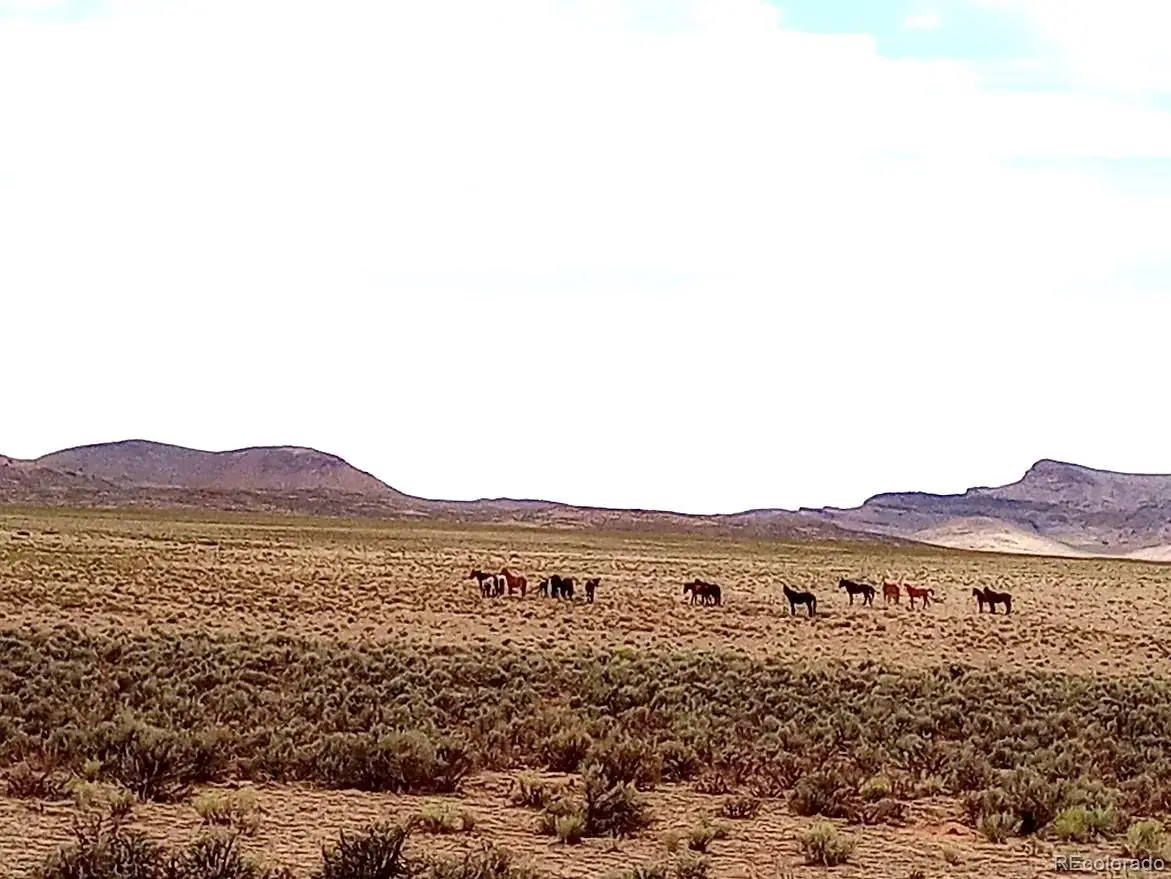 40 acres County Rd 27, San Acacio, CO 81151 - #1