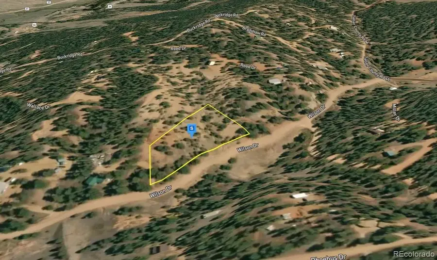 228 Wilson Drive, Florissant, CO 80816 - Image #3