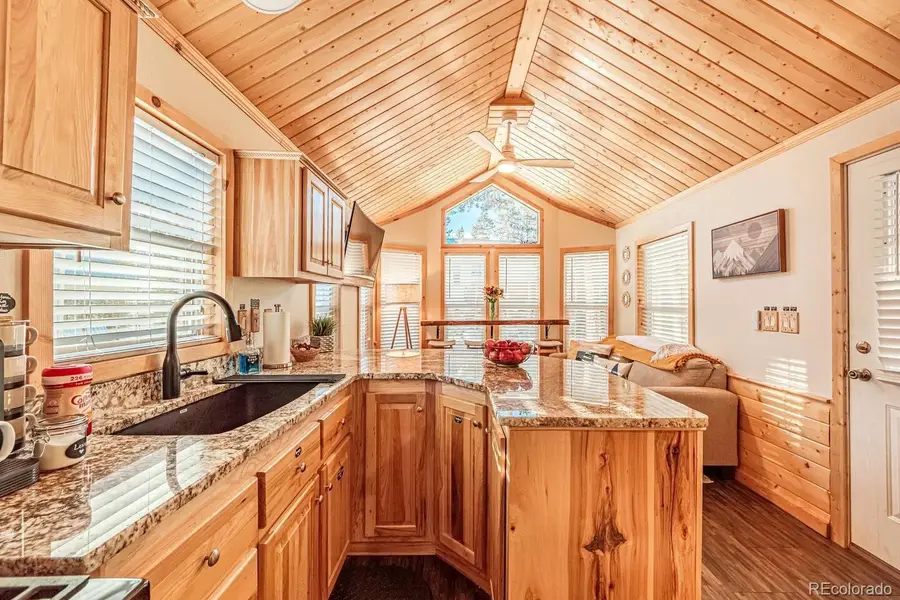 19253 E Highway 24, Woodland Park, CO 80863 - #3