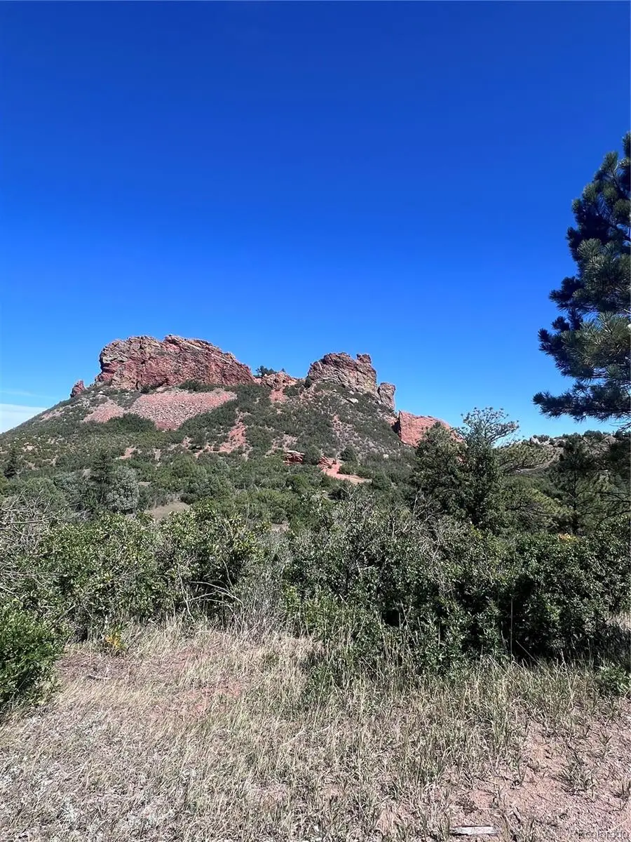 6031 Country Club Drive, Larkspur, CO 80118 - #2