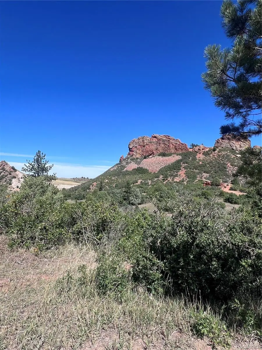 6031 Country Club Drive, Larkspur, CO 80118 - #3