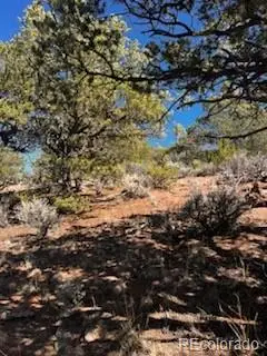 #3