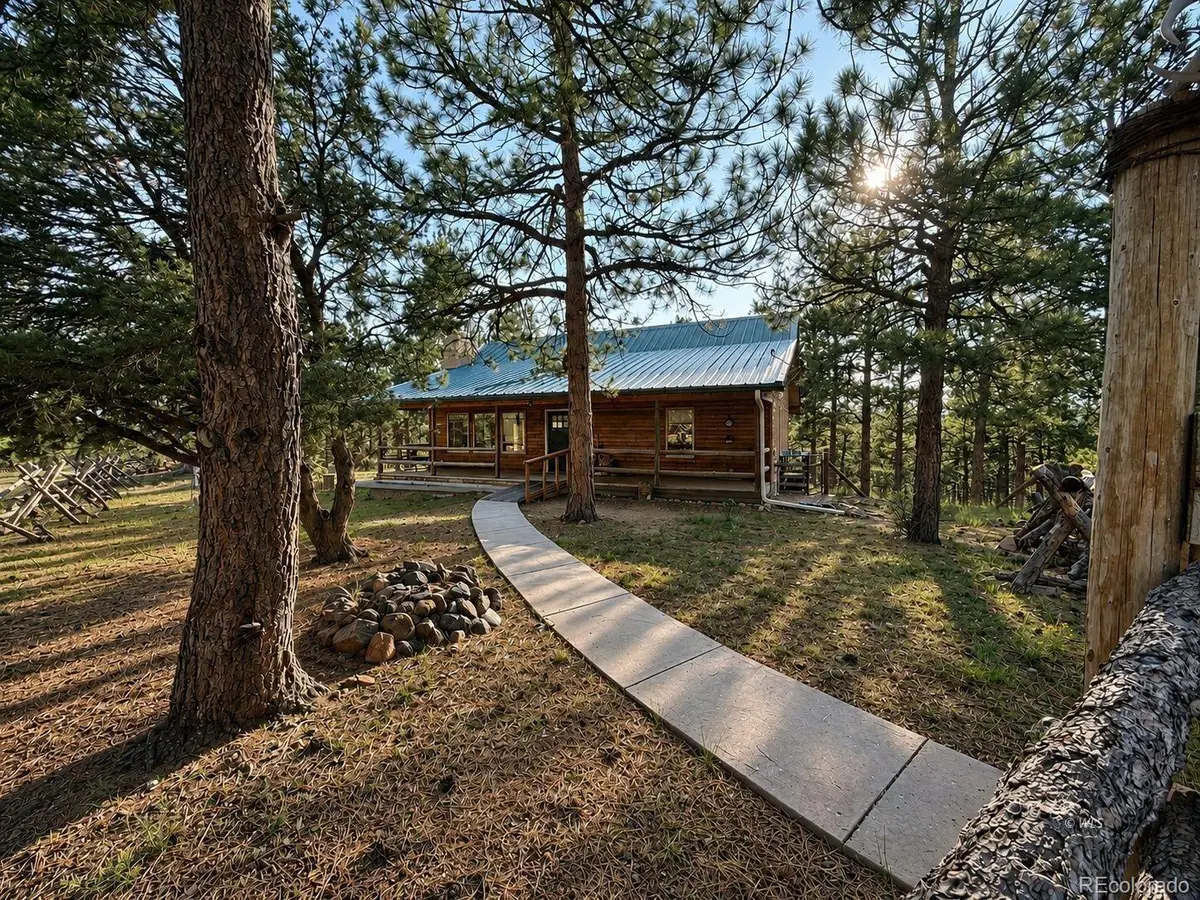 4701 County Road 323, Westcliffe, CO 81252 - #1