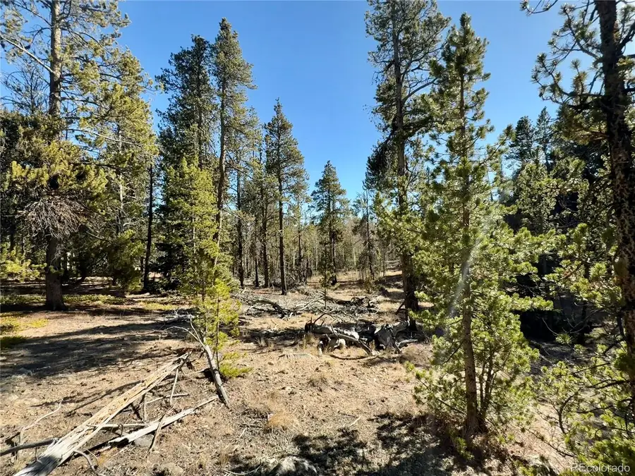 235 Willow Lane, Fairplay, CO 80440 - Image #3