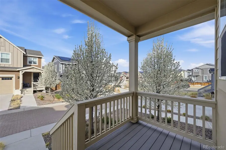 17540 E 95th Avenue, Commerce City, CO 80022 - #3