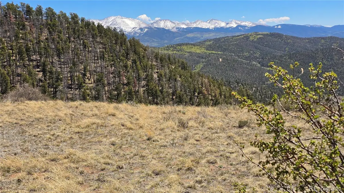Lots 5817 & 5818 Balleroy & Covington Road, Fort Garland, CO 81133 - #1