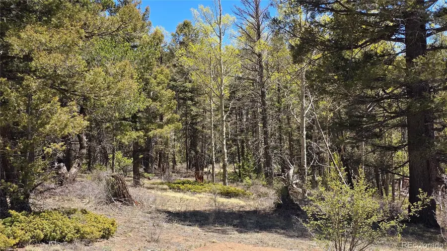 Lots 5817 & 5818 Balleroy & Covington Road, Fort Garland, CO 81133 - #3