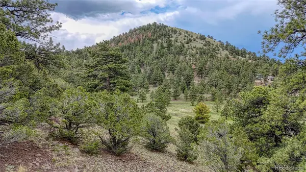 44 Honeysuckle Terrace, Westcliffe, CO 81252