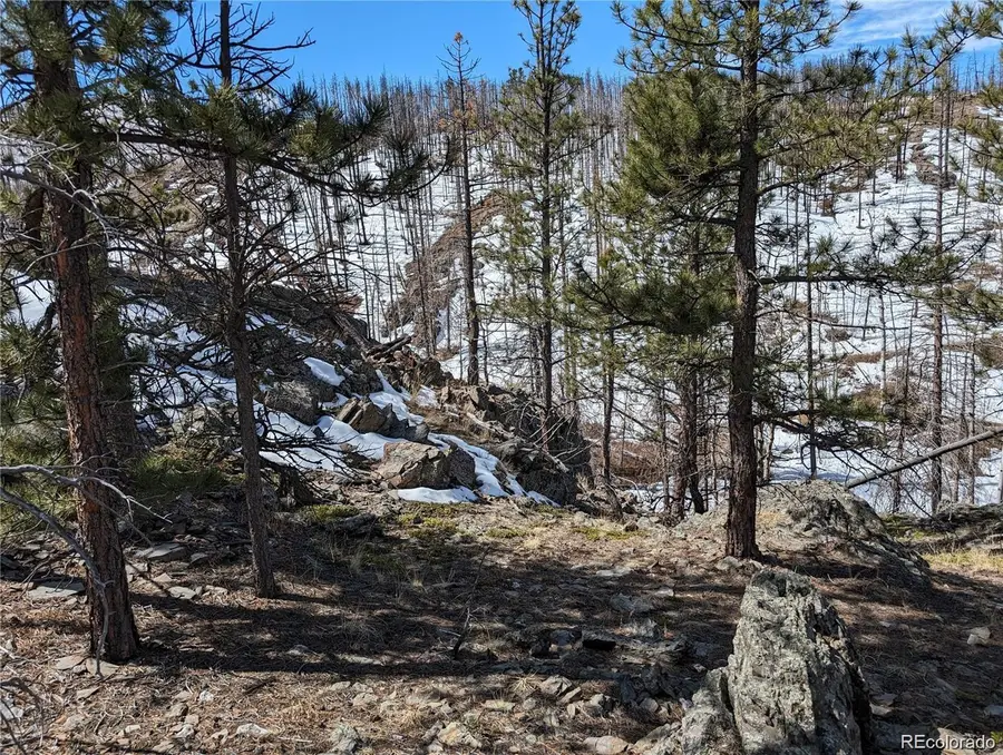 60 Powder Horn Trail, Bellvue, CO 80512 - #2