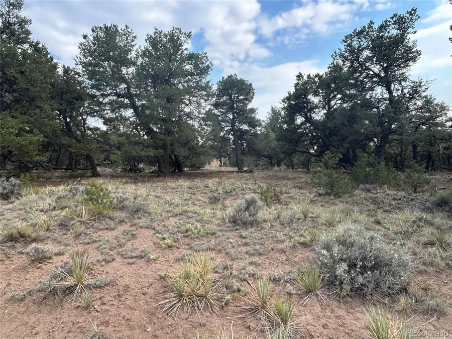 3530 Camino Del Rey, Crestone, CO 81131 - #2