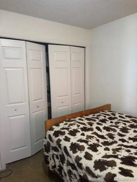 316 21 Avenue, Longmont, CO 80501 - #3