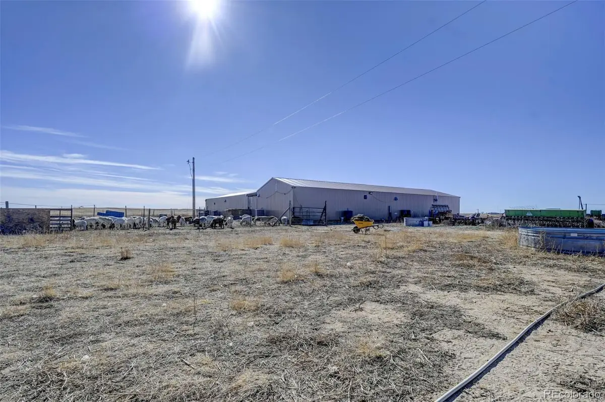 7455 S Rush Road, Rush, CO 80833 - #1