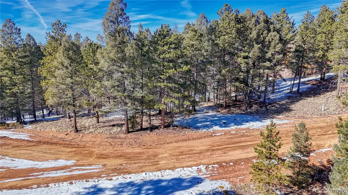 79 Huntsman Circle, Florissant, CO 80816 - Image #1