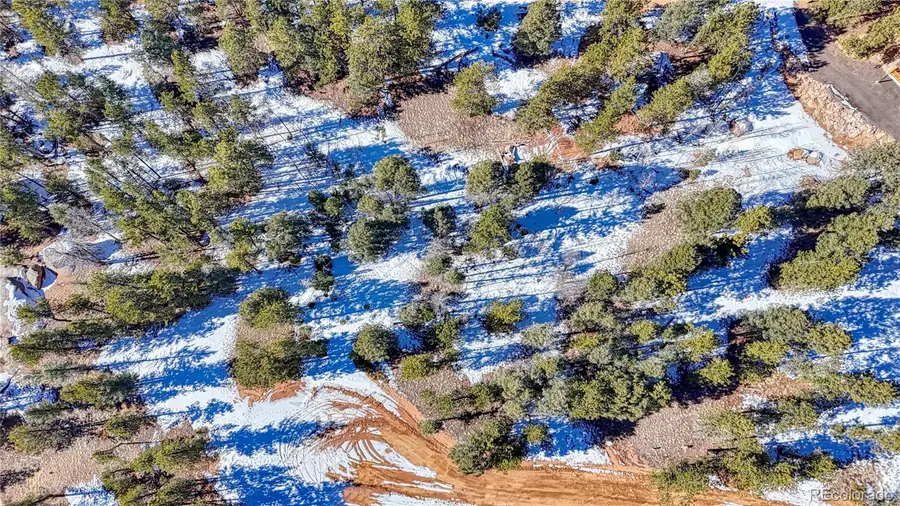 79 Huntsman Circle, Florissant, CO 80816 - Image #3