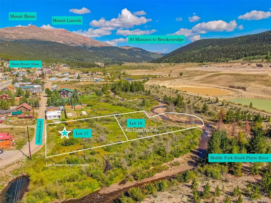 Lot 17 Singleton Road, Alma, CO 80420 - #3