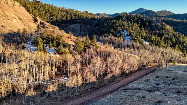 524 Buckhorn Road, Cripple Creek, CO 80813