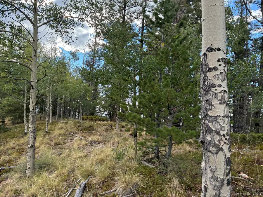 LOT 5563 Balleroy Road, San Luis, CO 81152 - #3