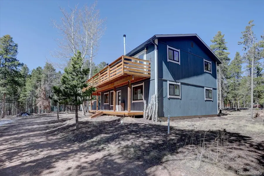 31556 Griffin Drive, Conifer, CO 80433 - #3