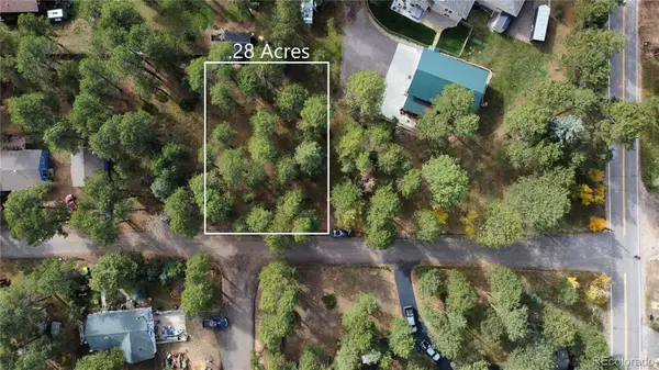26698 De Berry Street, Conifer, CO 80433
